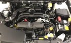 Subaru Outback 2018 - Bán xe Subaru Outback 2.5 I-S, sản xuất 2018, Lh 0929009089
