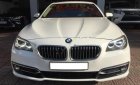 BMW 5 Series 520i 2014 - Việt Tuấn Auto bán xe BMW 5 Series 520i 2014, màu trắng, nhập khẩu