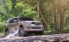 Ford Everest  Titanium 2.0  2018 - Cần bán Ford Everest Titanium 2.0 2018, màu nâu, xe nhập