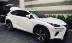 Lexus NX 300 2017 - Cần bán xe Lexus NX 300 đời 2017, màu trắng, nhập khẩu nguyên chiếc  