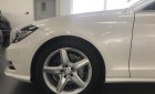 Mercedes-Benz CLS class CLS350 2014 - Bán xe Mercedes CLS350 màu trắng cũ - lướt 4/2018 chính hãng