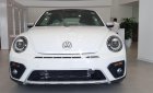 Volkswagen New Beetle 2018 - Bán Volkswagen New Beetle năm sản xuất 2018, màu trắng, xe nhập