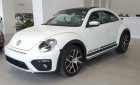 Volkswagen New Beetle 2018 - Bán Volkswagen New Beetle năm sản xuất 2018, màu trắng, xe nhập