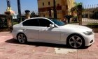 BMW 3 Series 320i 2009 - Bán BMW 3 Series 320i sản xuất năm 2009, màu trắng, nhập khẩu