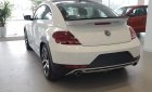 Volkswagen New Beetle 2018 - Bán Volkswagen New Beetle năm sản xuất 2018, màu trắng, xe nhập