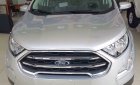 Ford EcoSport 1.0AT  2018 - Bán xe Ford EcoSport đời 2018, Ecoboost 1.0AT màu xám (ghi), KM chỉ 677 triệu, tặng gói phụ kiện tháng 11