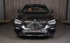 BMW X4   2018 - Bán BMW X4 sản xuất năm 2018, màu đen, xe nhập