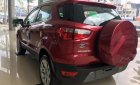 Ford EcoSport 1.0 Titanium 2018 - Bán xe Ford Ecoport bản 1.0 Titanium màu đỏ. Có xe giao ngay đủ màu, Lh 0965423558