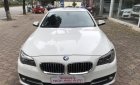 BMW 5 Series 520i  2015 - Bán ô tô BMW 5 Series 520i sản xuất năm 2015