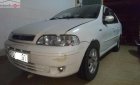 Fiat Albea HLX 2004 - Cần bán Fiat Albea sản xuất năm 2004, ngoại thất màu trắng