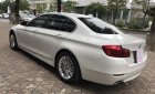 BMW 5 Series 520i  2015 - Bán ô tô BMW 5 Series 520i sản xuất năm 2015