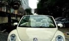 Volkswagen Beetle Sport  2008 - Bán Volkswagen Beetle Sport 2008, màu kem (be), xe nhập chính chủ, giá chỉ 658 triệu