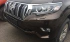 Toyota Prado VX 2.7L 2018 - Cần bán xe Toyota Prado VX 2.7L năm 2018, màu nâu, nhập khẩu