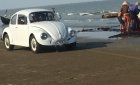 Volkswagen Beetle Trước 1990 - Cần bán xe Volkswagen Beetle Trước sản xuất 1990, màu trắng, xe nhập