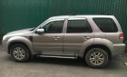 Ford Escape 2010 - Bán Ford Escape, xe chính chủ, mua về chỉ việc đổ xăng và đi