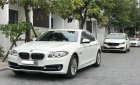 BMW 5 Series 520i 2014 - Cần bán xe BMW 5 Series 520i sản xuất 2014, màu trắng, nhập khẩu