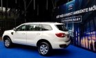 Ford Everest Ambient MT 2018 - Bán xe Ford Everest Ambient MT năm 2018, đủ màu, giao ngay