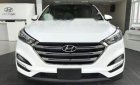 Hyundai Tucson  2.0 2018 - Bán Hyundai Tucson 2.0 sản xuất năm 2018, màu trắng giá cạnh tranh