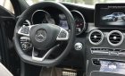 Mercedes-Benz C class C300 AMG 2016 - Bán Mercedes C300 AMG model 2017, màu đen