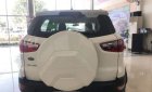 Ford EcoSport 2018 - Cần bán xe Ford EcoSport 2018, màu trắng