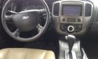 Ford Escape   2.3 AT  2009 - Bán ô tô Ford Escape 2.3 AT sản xuất 2009, màu xám  