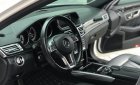 Mercedes-Benz E class E400 AMG 2016 - Cần bán xe Mercedes E400 AMG năm sản xuất 2016, màu trắng