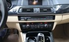 BMW 5 Series 520i 2015 - Bán xe BMW 520i Series năm 2015 màu trắng kem