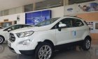 Ford EcoSport   Titanium   2018 - Bán xe Ford EcoSport Titanium sản xuất 2018, màu trắng  