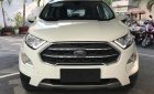 Ford EcoSport  Titanium 1.0L AT 2018 - Bán Ford EcoSport Titanium 1.0L AT, 2018, màu trắng, tặng bảo hiểm thân vỏ, hỗ trợ vay 90% giá xe, thủ tục nhanh gọn