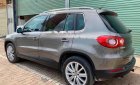 Volkswagen Tiguan 2.0 tfsi 2008 - Cần bán Volkswagen Tiguan 2.0 tfsi sản xuất 2008, màu xám, nhập khẩu