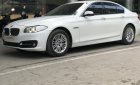 BMW 5 Series 520i 2015 - Bán xe BMW 520i Series năm 2015 màu trắng kem