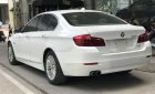 BMW 5 Series 520i 2015 - Bán xe BMW 520i Series năm 2015 màu trắng kem