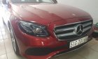 Mercedes-Benz E class E250 2018 - Cần bán gấp Mercedes E250 2018, màu đỏ, xe nhập