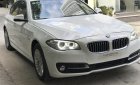 BMW 5 Series 520i 2015 - Bán xe BMW 520i Series năm 2015 màu trắng kem