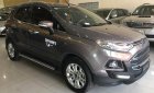 Ford EcoSport Titanium 1.5AT  2016 - Cần bán Ford EcoSport Titanium 1.5AT sản xuất năm 2016, màu xám