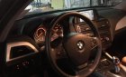 BMW 1 Series 116i 2014 - Bán BMW 1 Series 116i năm sản xuất 2014, màu nâu, xe nhập, giá 850tr