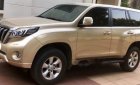 Toyota Prado   2010 - Cần bán Toyota Prado năm sản xuất 2010, màu vàng, nhập khẩu chính chủ