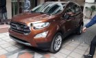 Ford EcoSport 2018 - Cần bán xe Ford EcoSport đời 2018, màu nâu, giá tốt 