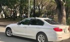 BMW 3 Series 320i 2017 - Bán ô tô BMW 3 Series 320i sản xuất 2017, màu trắng, nhập khẩu