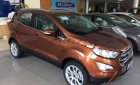 Ford EcoSport Titanium 1.5L AT 2018 - Bán Ford EcoSport Titanium 1.5L AT đời 2018, giá chỉ 625 triệu