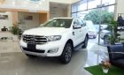 Ford Everest Ambiente 2.0L MT (4x2) Turbo 2018 - Bán Ford Everest MT Ambiente, KM gói phụ kiện, BHTV, hỗ trợ mọi thủ tục