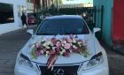 Lexus IS A 2008 - Bán ô tô Lexus IS A 2008, màu trắng, xe nhập, 850tr