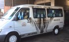 Mercedes-Benz Sprinter 311  2010 - Bán ô tô Mercedes Sprinter 311 đời 2010, màu trắng