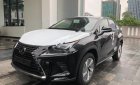 Lexus NX 300 2018 - Bán Lexus NX 300 năm sản xuất 2018, màu đen, xe nhập