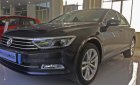 Volkswagen Passat BlueMotion 2018 - Bán Volkswagen Passat BlueMotion nhập khẩu nguyên chiếc từ Đức