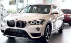 BMW X1  sDrive 2018 - BMW X1 nhập khẩu từ Đức, xe giao ngay, giá tốt nhất TP. HCM