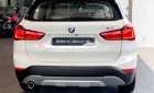 BMW X1  sDrive 2018 - BMW X1 nhập khẩu từ Đức, xe giao ngay, giá tốt nhất TP. HCM
