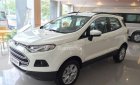 Ford EcoSport Trend 2018 - Bán xe Ford EcoSport Trend AT 2018 tại Bắc Giang, giá tốt, LH 0989022295