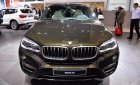 BMW X6 2017 - BMW X6 giá tốt, giao xe ngay, hỗ trợ vay 80%
