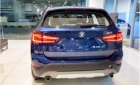 BMW X1 xLine 2018 - Bán BMW X1 tại Đà Nẵng - Xe nhập khẩu nguyên chiếc